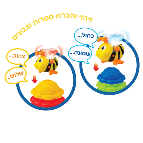 משחק לימוד צבעים ומספרים אורקולי דובר עברית - הדבורה החכמה 4