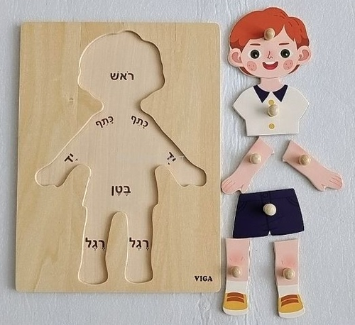 פאזל כפתורי עץ 7 חלקים עם כיתוב בעברית גוף האדם - בן 2