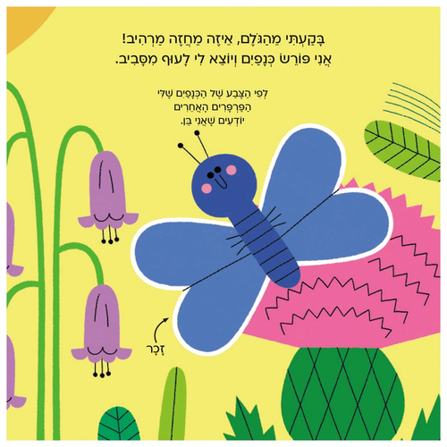 עולם קטן ירוק שלי: ספר הפעלות לילדים - פרפר 3