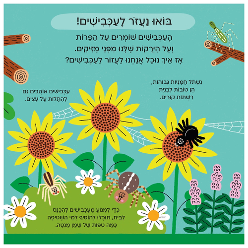 עולם קטן ירוק שלי: ספר הפעלות לילדים - עכביש 4