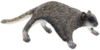 2e49f1cf1ae11c8c2d6da303f5ad13d1