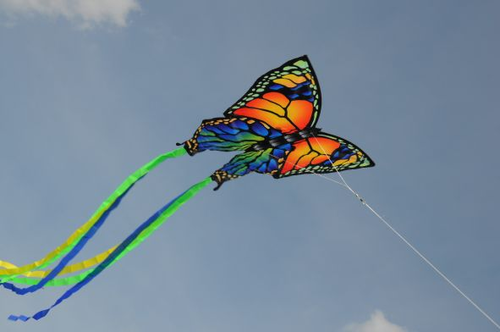 עפיפון מעוצב עשוי פוליאסטר עמיד עם זנב כפול 2.5X3 מ' - פרפר 2