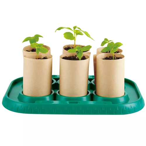 חממה לגידול צמחים (עשוי מחומרים ממוחזרים) 3