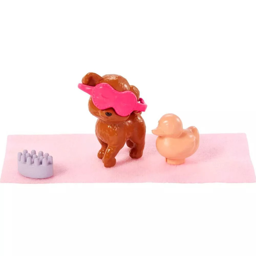 זמן רגיעה ומנוחה עם חיות מחמד 5