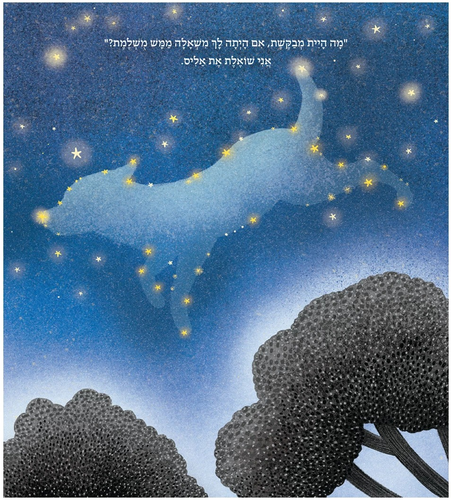 סיפור על נדיבות, רגישות וכוחן של משאלות - משאלה ממש מושלמת / ליזה מנטצ׳ב 3