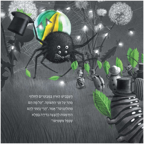 סיפור מלא הומור וחוכמה - פלא נפל משמיים / האחים פאן 3