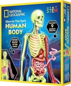   מודל גוף האדם זוהר בחושך National Geographic