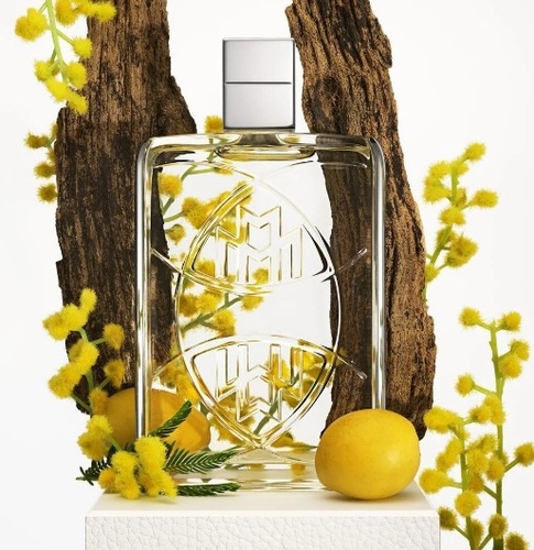 בושם יוניסקס Maybach Fascinating Oud EDP 100ml 