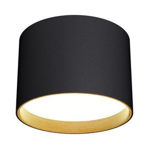  צמוד תקרה צילינדר שחור ARI 18W 3CCT 