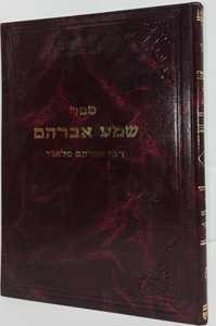 שמע אברהם ב