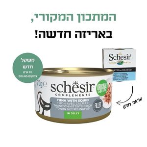 שזיר משלים טונה עם דיונון בג