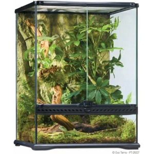 טרריום טבעי אקזוטרה 45*45*60 גבוה מאוד/בינוני Natural Terrarium SMALL/Tall