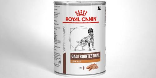 רויאל קנין פטה רפואי לכלבים שימורים גסטרו