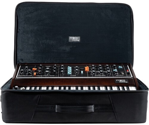 זוית נוספת moog model-d sr series case