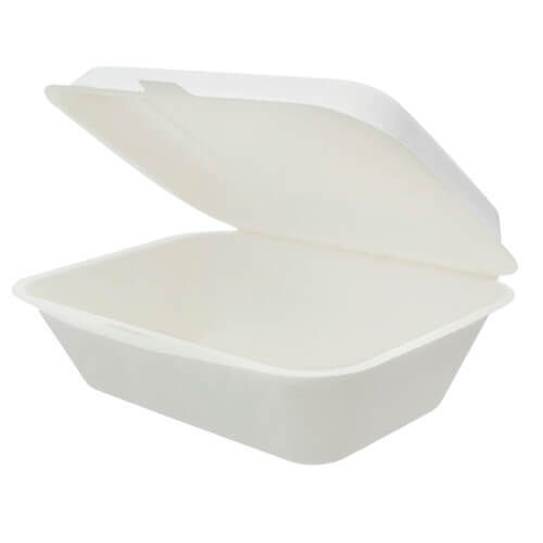 קנה סוכר -צדפת קנה סוכר במידות 225-170 