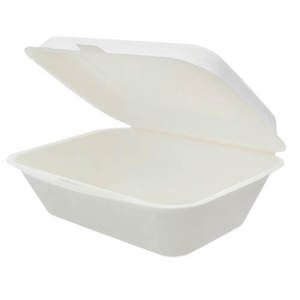 קנה סוכר -צדפת קנה סוכר במידות 225-170 