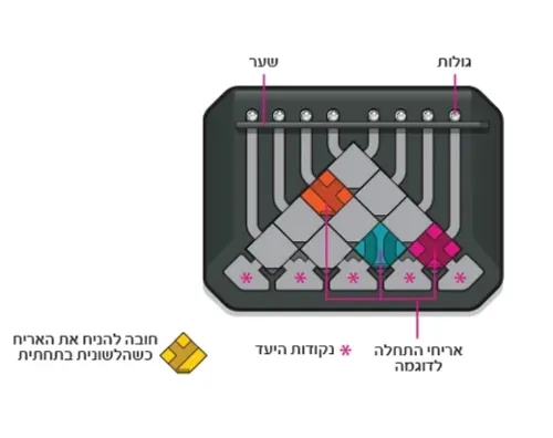 גלגול במבוך