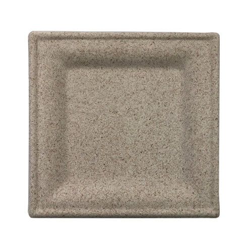 קנה סוכר ונבט חיטה - צלחת ריבוע במידות 25*25(