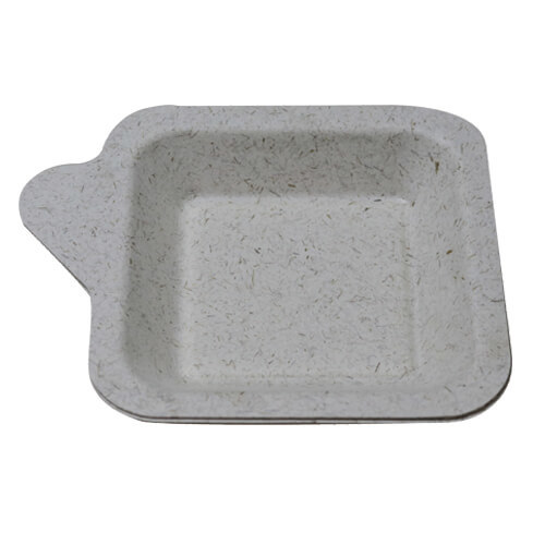 קנה סוכר ונבט חיטה-צלחת ריבוע מיני 11.5*11.5