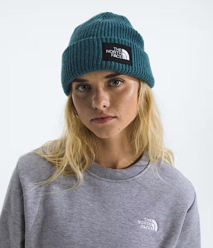 כובע גרב SALTY LINED BEANIE - THE NORTH FACE