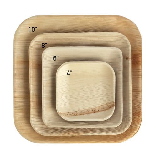 דקל צלחת מרובעת 15 ס