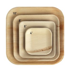 דקל צלחת מרובעת 15 ס"מ (6