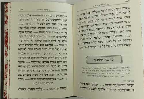 תפילת המייש