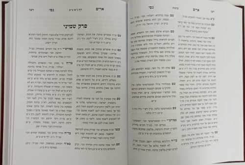 ארים נסי - ברכות, זרעים