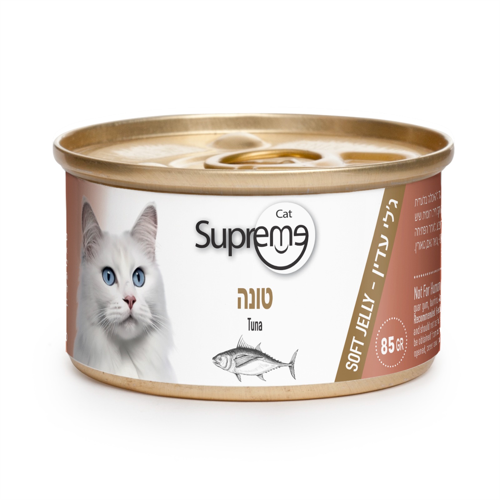שימור מעדן ג