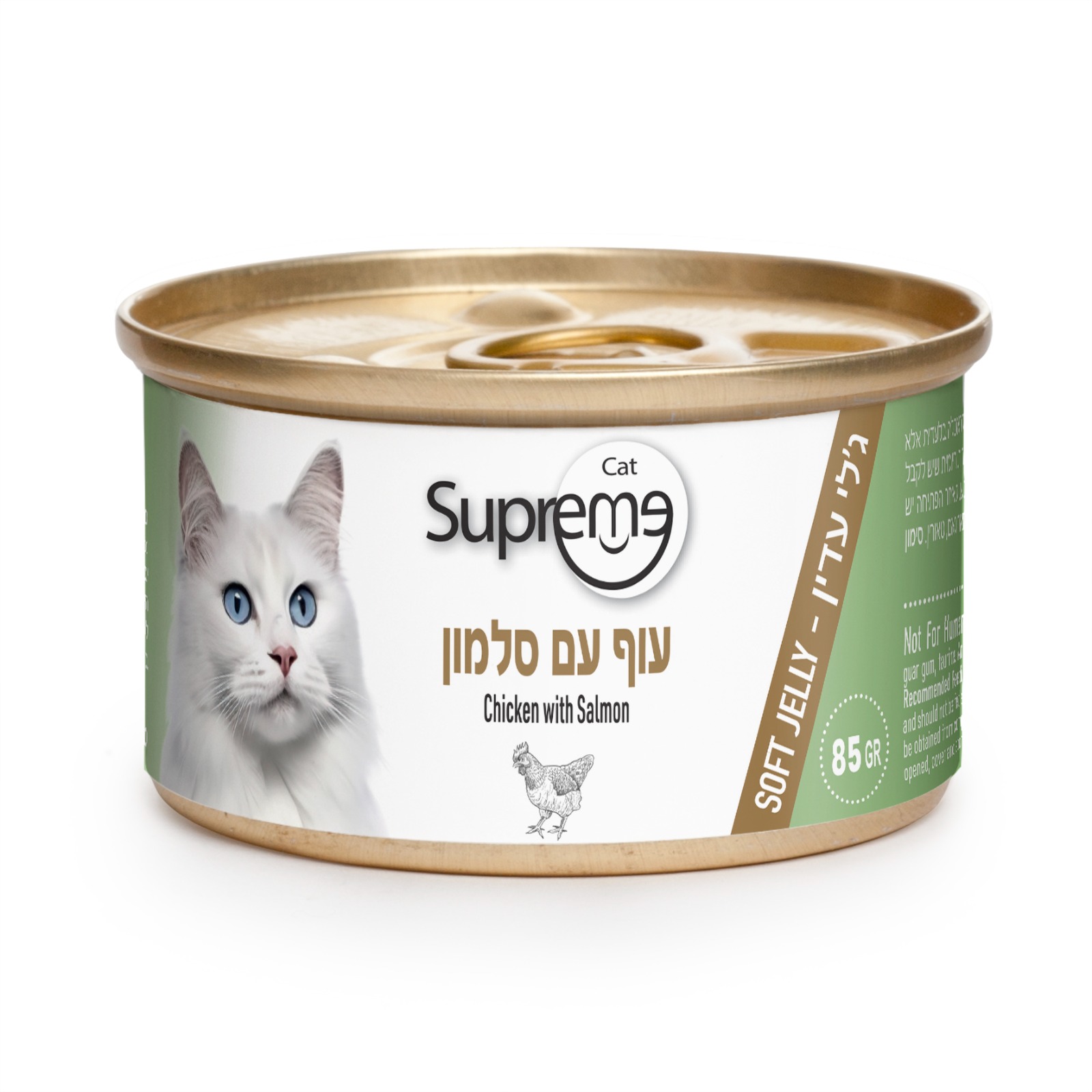שימור מעדן ג