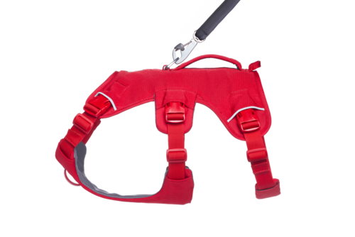 Web Master™ Harness החדש