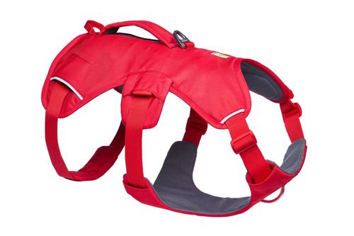Web Master™ Harness החדש