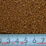 SL-AQUA אדמת שתילה חומה More Nature Soil M