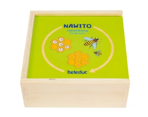 התפתחות החי והצומח