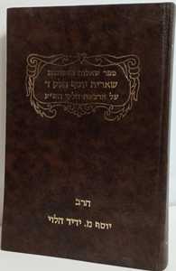 שארית יוסף חלק ד