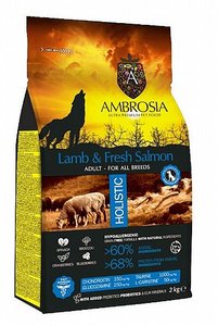 אמברוסיה סלמון וכבש לכלבים מזון ללא דגנים 12 ק"ג