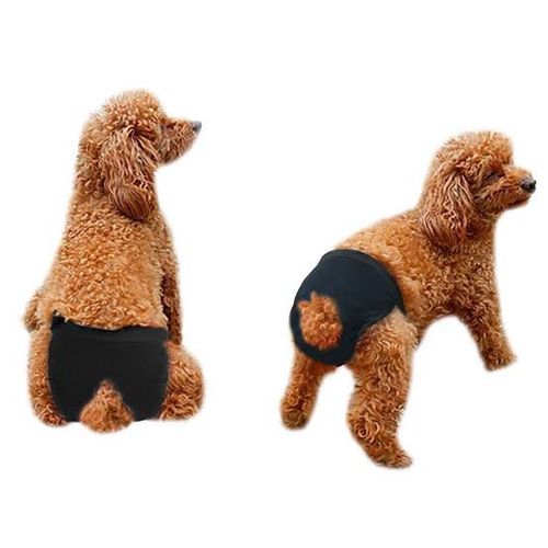  חיתולים חד־פעמיים לכלבות – מידה L | 10 יחידות – M-Pets