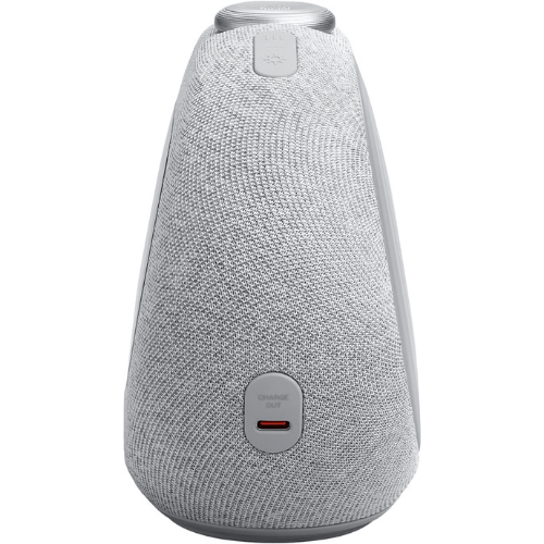 רמקול שעון מעוצב עם רדיו צבע אפור JBL Horizon 3