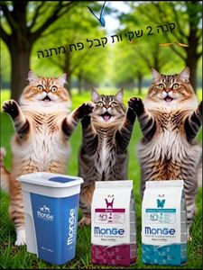 2 יח