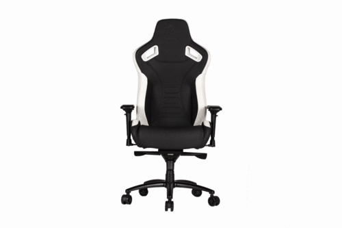 כיסא גיימינג דרגון Dragon GT DLX שחור/לבן