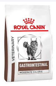 רויאל קנין גסטרו אינטסטינל לחתול 4 ק