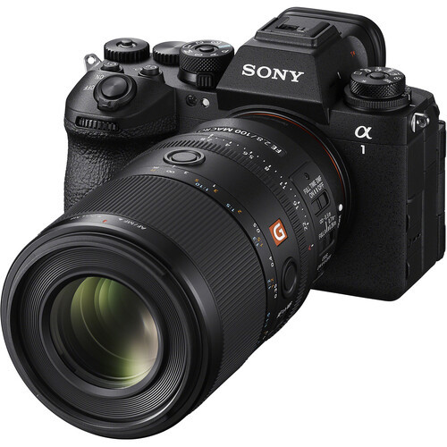 עדשה Sony FE 100mm f/2.8 Macro GM