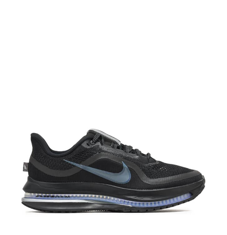נעלי ריצה נייק Nike Pegasus Premium | נשים