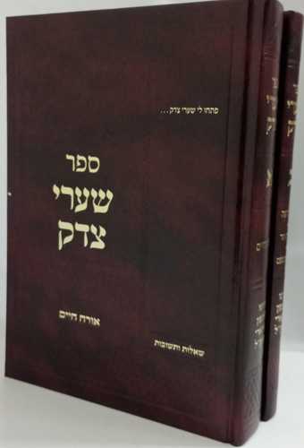 שערי צדק ב