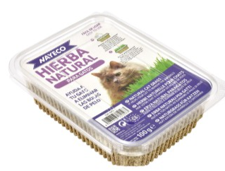 נאייקו ערכת דשא לחתולים 100 גרם – Nayeco Natural Grass for Cats