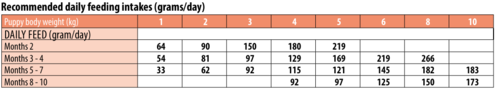 מזון יבש סלמון 2.5 ק