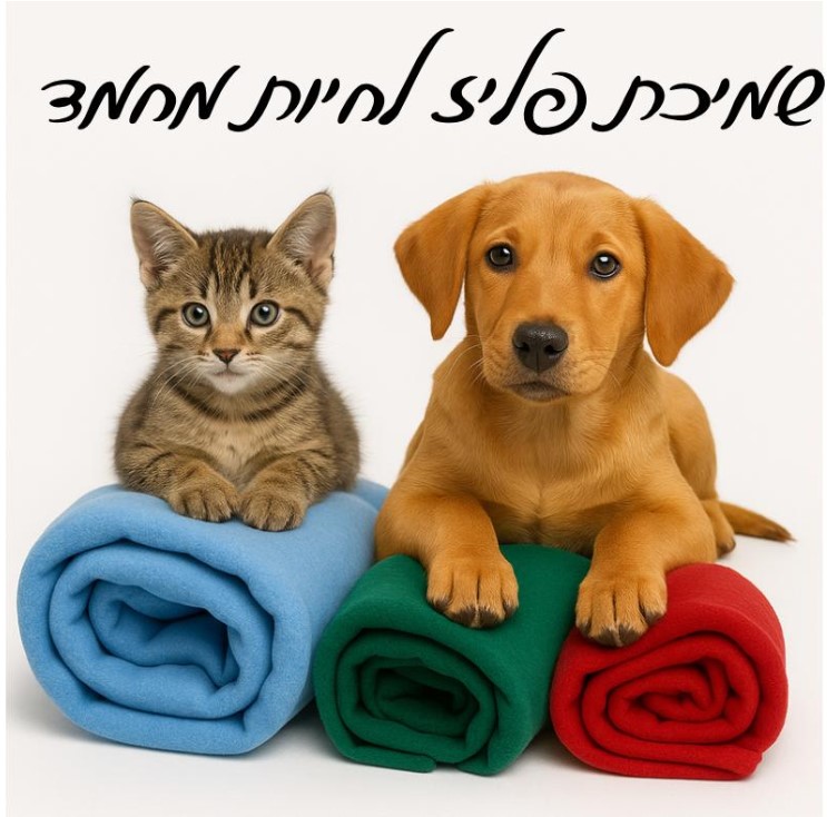 שמיכת פליז מחממת ונעימה לחיות מחמד מידה 125/152 צבעים רנדומלים