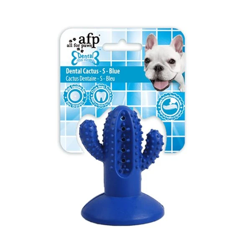 קקטוס צעצוע דנטלי AFP – קטן כחול