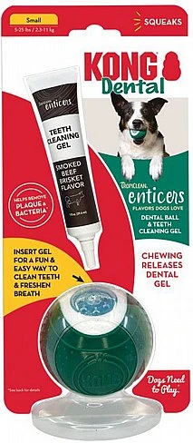 קונג מארז כדור דנטלי למילוי+ג'ל לשיניים לכלב בינוני S