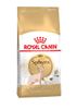 רויאל קנין לחתול ספינקס 10 ק''ג Royal Canin